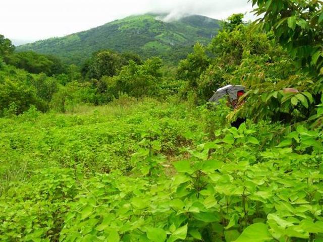 Land and Farm for sale in Cabangan