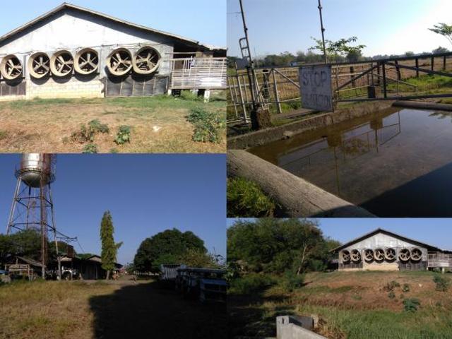 Land and Farm for sale in Gapan