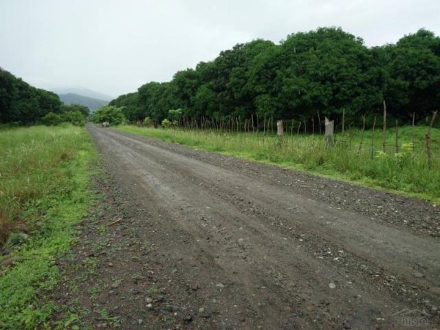 Land and Farm for sale in Iba