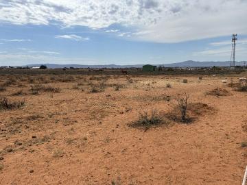 Port Augusta West, Port Paterson, Winninowie
