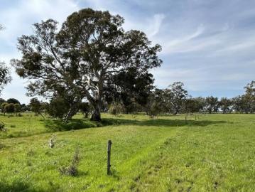 Land to rent in Victoria