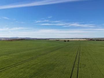 land Appila ES101909356