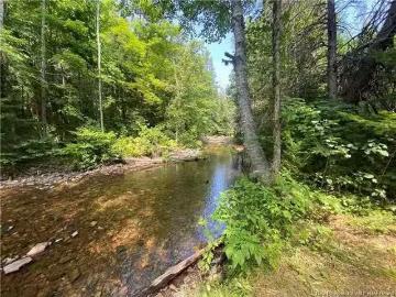 Land Archibald Rd, Belledune, NB, E8G 1W5 vacant land for sa.