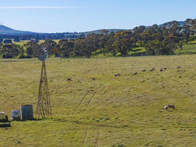 Land Burra SA 105584235