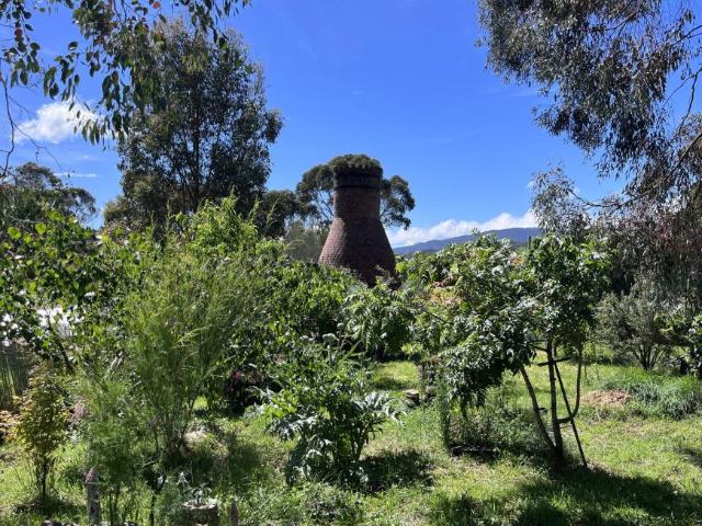 Land CYGNET TAS 104963401