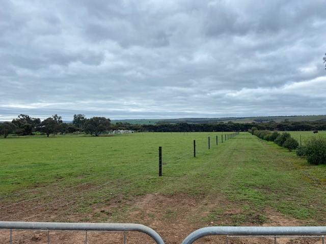 Land CALLINGTON SA 104947619