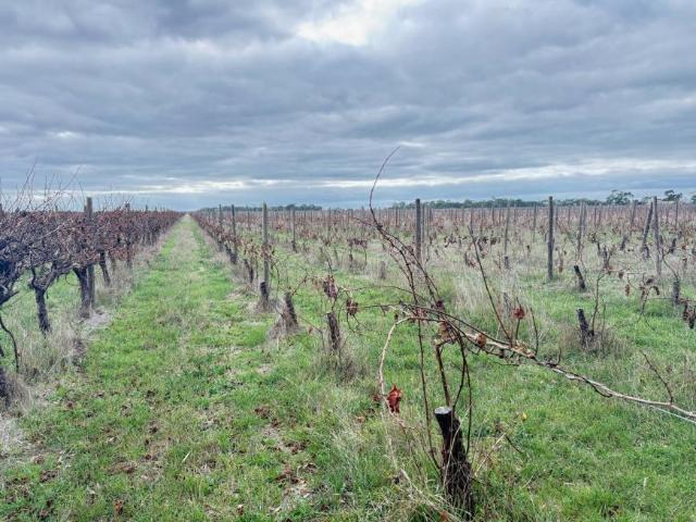 Land For Rent Coonawarra SA 800000 ES102705706