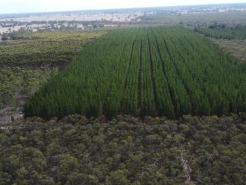 Land to rent in Victoria