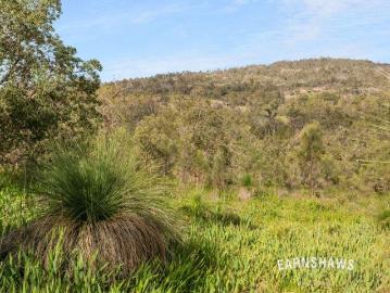Land For A Legacy | Multiple Lots Available