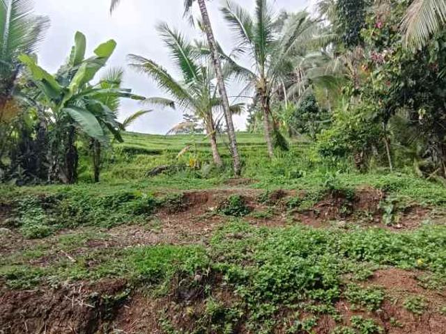 Land For Leasehold in Tabanan Bali Close Sing Angin Waterfall