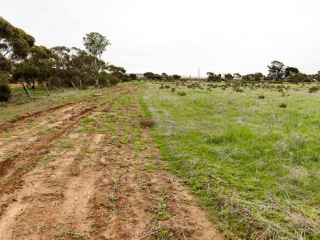 Land For Rent Merredin WA 99000 ES105933327