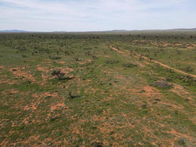 Land For Rent Orroroo SA 599000 ELS101909241
