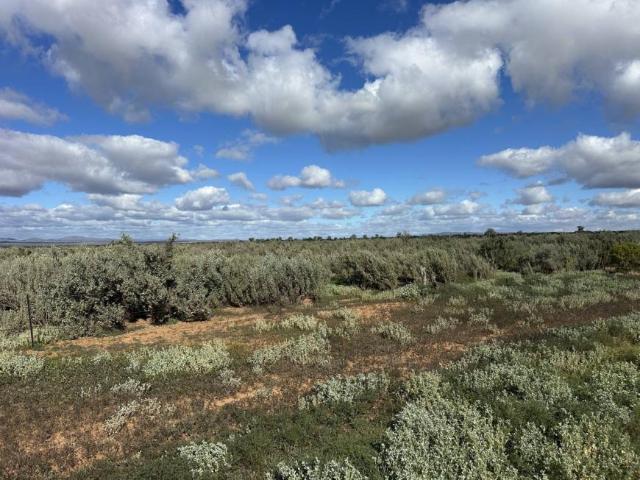 Land For Rent Orroroo SA ES105863115