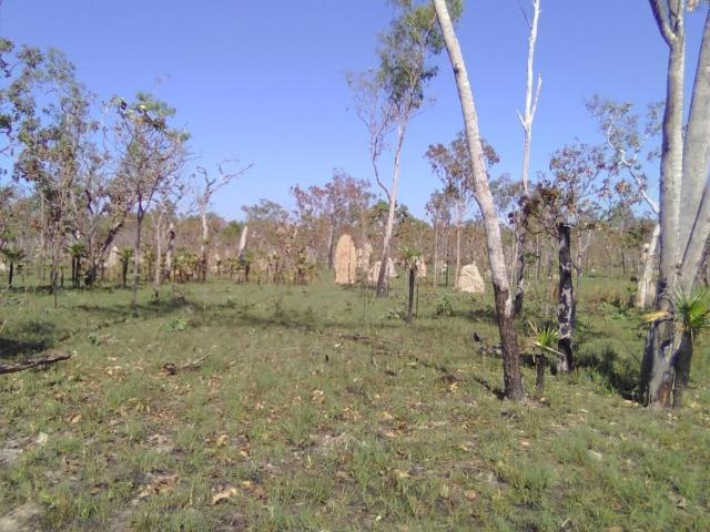 Land For Rent ADELAIDE RIVER NT 570000 ES104955488