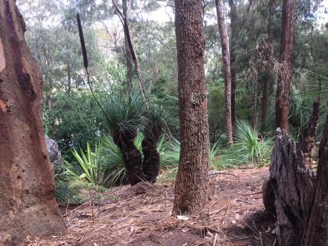 Land For Rent BAR POINT NSW 164000 ES104950548