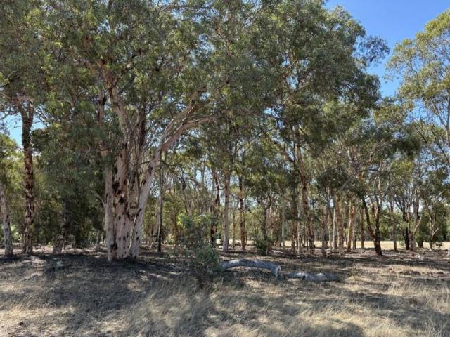 Land For Rent Bindoon, WA 379000 ES104684722