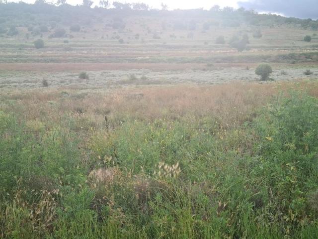 Land For Rent BREEZA NSW 49500 ES104955617