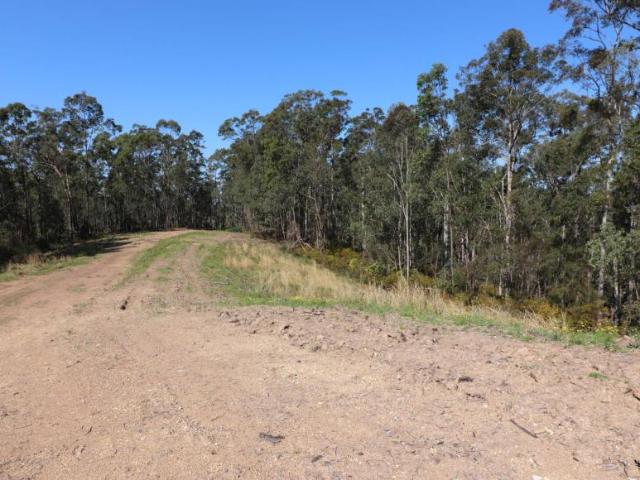 Land For Rent Collombatti NSW 495000 ES101908989