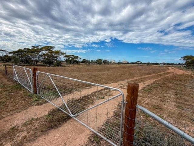 Land For Rent Cowell SA 110000 ES105932240