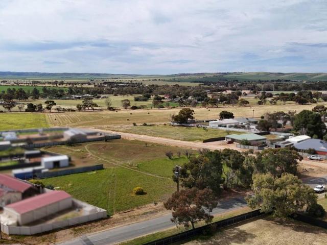 Land For Rent Crystal Brook SA ES105745398