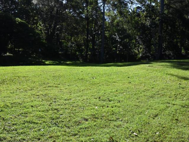 Land For Rent Doonan QLD 1495000 ES101672465