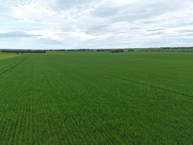 Land For Rent Gladstone SA ES104960907