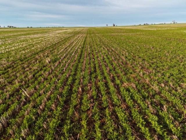 Land For Rent Huddleston SA ES105863695