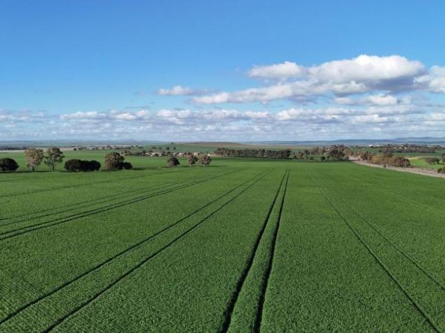 Land For Rent Huddleston SA ES105865078