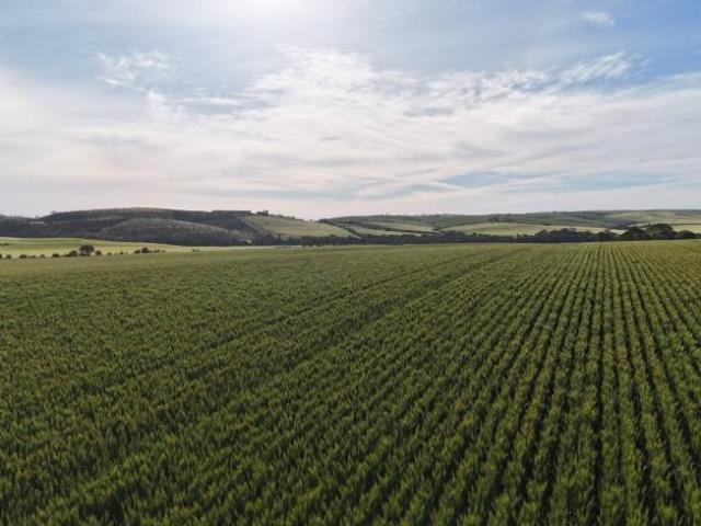 Land For Rent Huddleston SA ES105865180