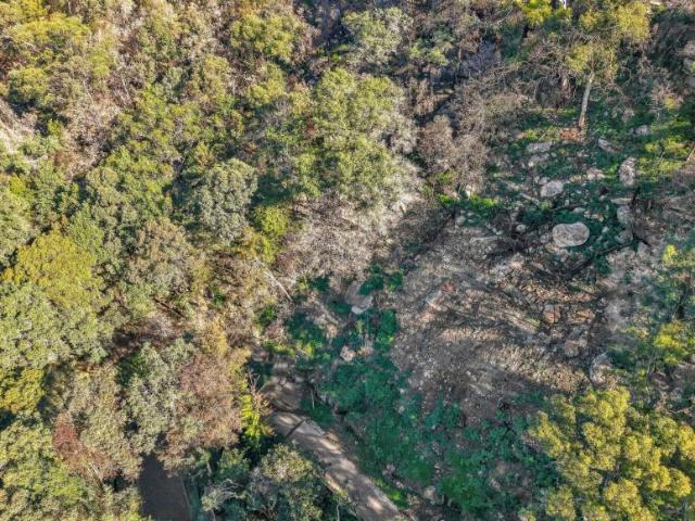 Land For Rent Koolewong NSW 420000 ES106169459