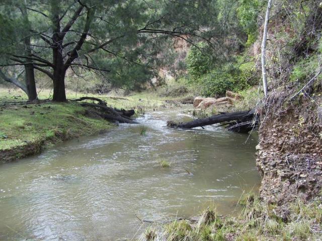 Land For Rent Lower Creek NSW 499000 ES101908974
