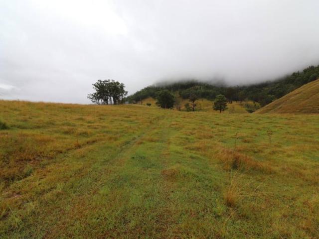 Land For Rent Lower Creek NSW 549000 ES101908978