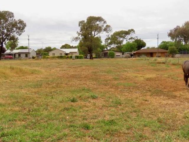 Land For Rent Penola SA 190000 ES101909256