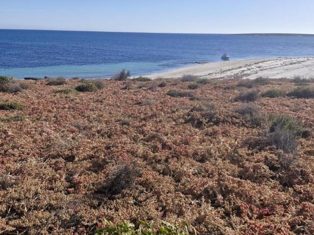 Land For Rent PORT LINCOLN SA 85000 ES104951759