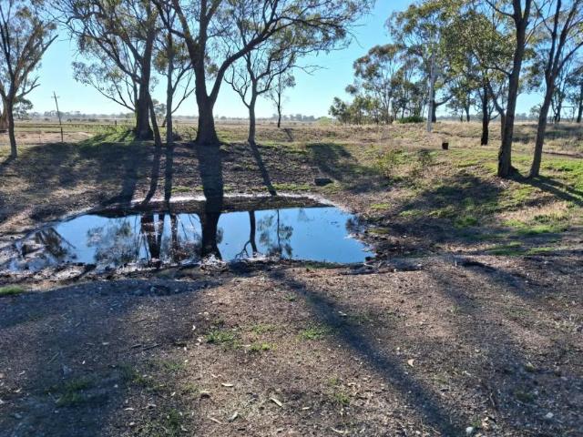 Land For Rent RUSHWORTH VIC ES104951389