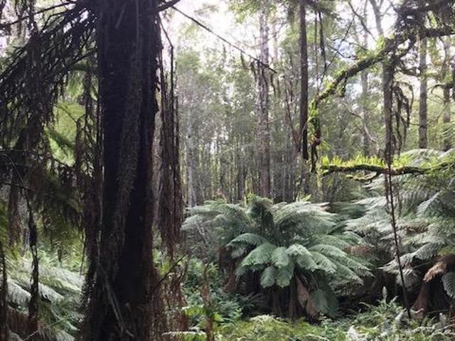 Land For Rent ROSEBERY TAS 180000 ES104954198