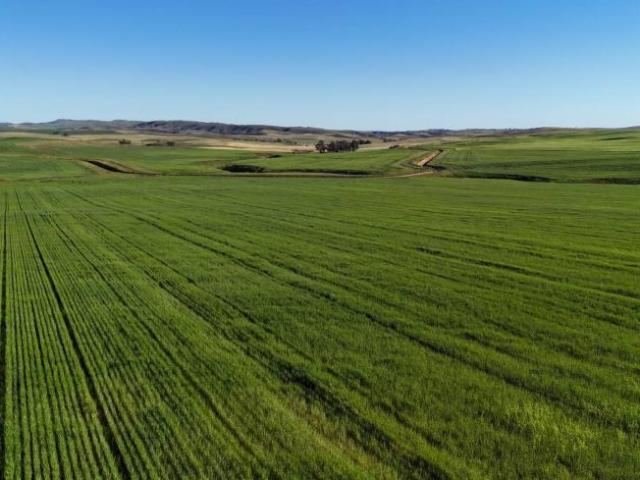 Land For Rent Spalding SA ES105865130