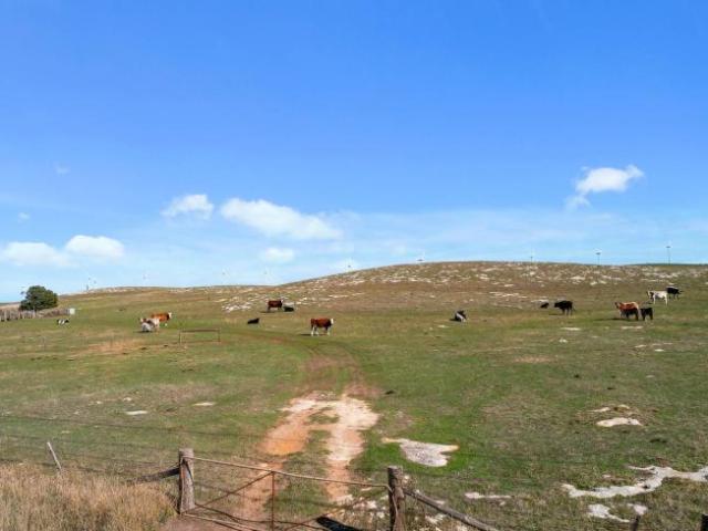 Land For Rent Tantanoola SA 850000 ES101909306