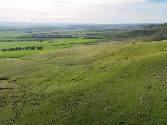 Land For Rent West Bundaleer SA ES105865213