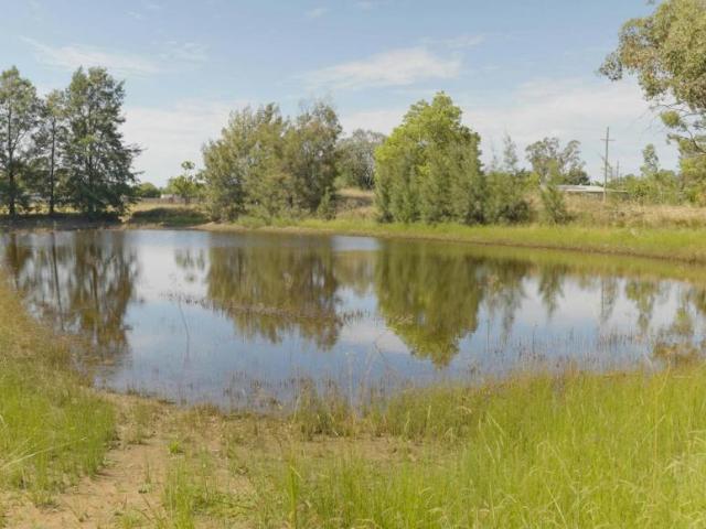 Land For Rent Wongarbon NSW ES105936496