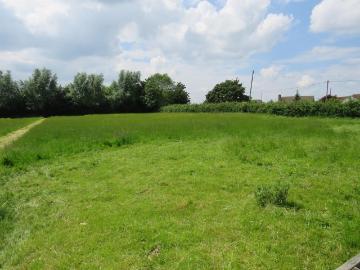 Fenland, East of England