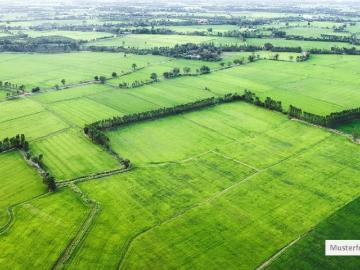 Altmittweida, Mittelsachsen, Sachsen