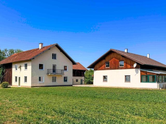 Land & Gut: Solide Hofstelle in arrondierter Endlage