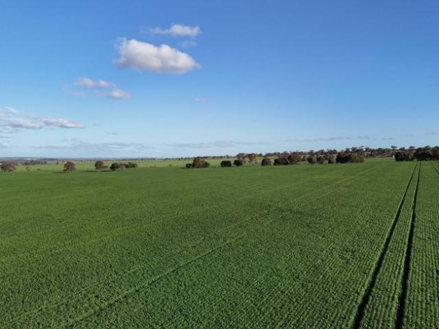 Land Huddleston SA 105865078