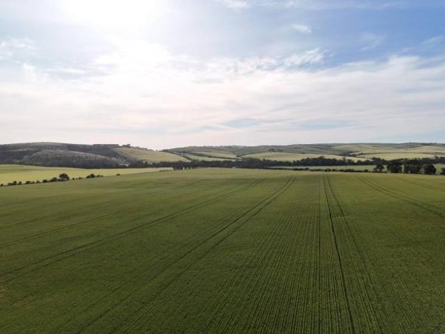Land Huddleston SA 105865180