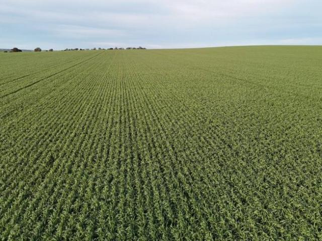 Land Huddleston SA 105863695