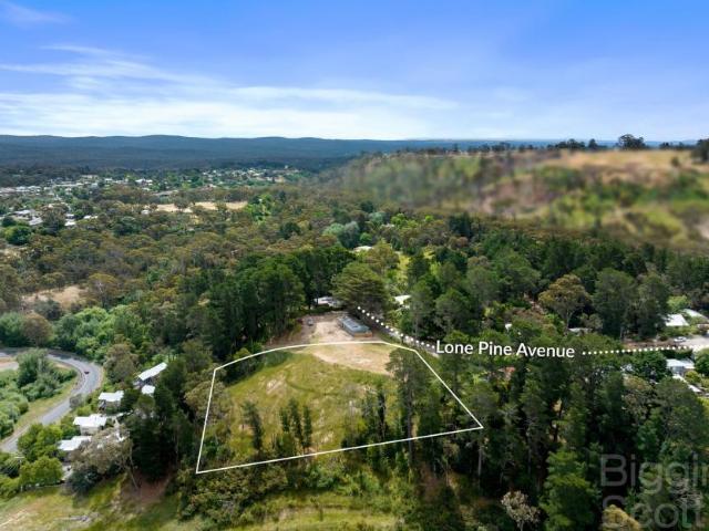 Land Hepburn Springs VIC 101583228