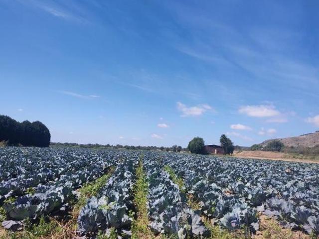 Land in León