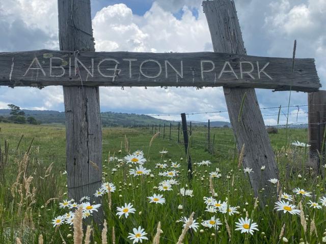 Land in the Snowy Mountains for sale