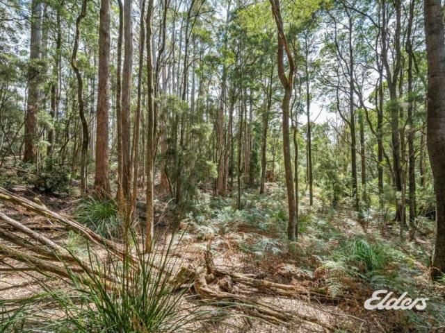 Land Irishtown TAS 105936227